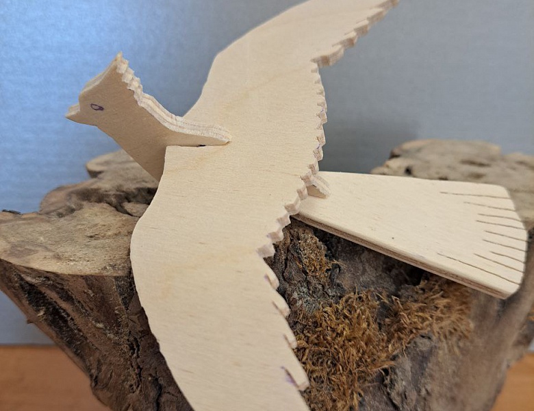 Поздравляем с победой юного изобретателя!