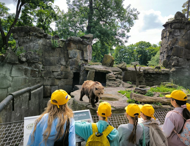 В мире животных