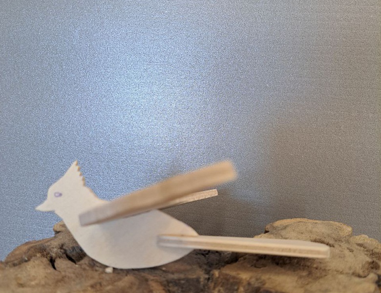 Поздравляем с победой юного изобретателя!