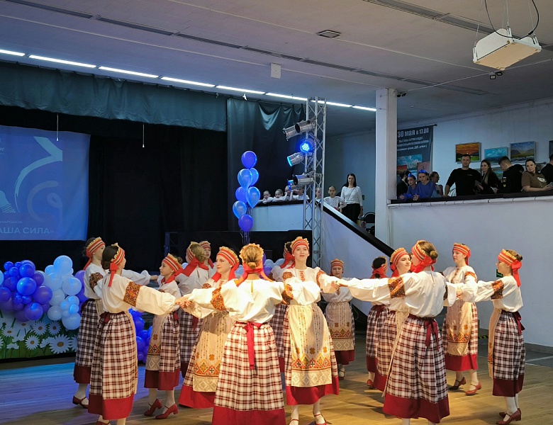 Фестиваль дружбы народов "В единстве наша сила"