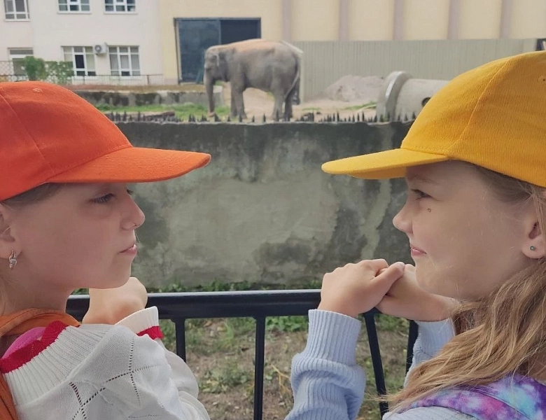 Поход в зоопарк