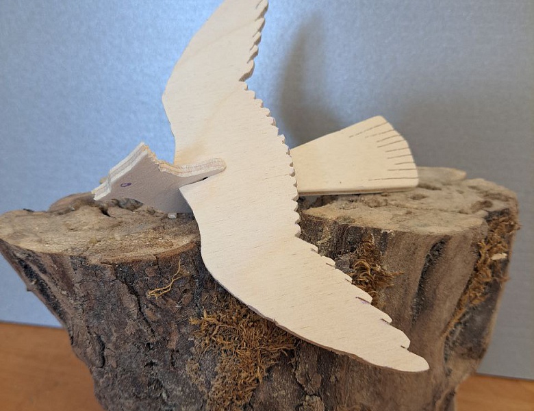 Поздравляем с победой юного изобретателя!