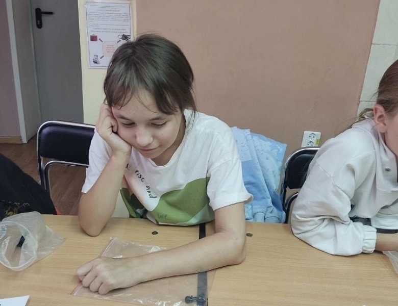 Путешествие в мир шахмат