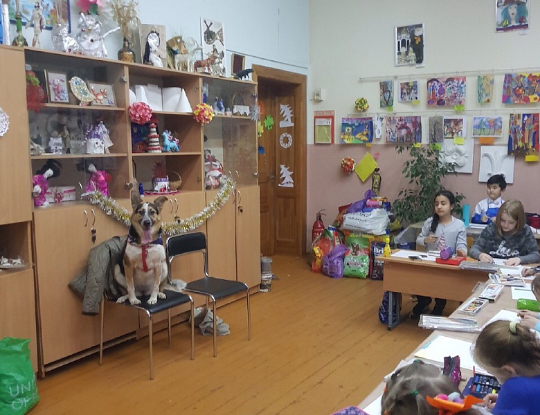 НОВОГОДНЯЯ АКЦИЯ «ПОДАРИ СОБАЧКЕ КОРМ!»