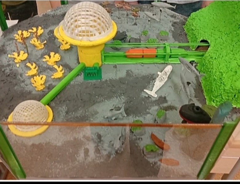 Подведены итоги Всероссийского сертифицированного конкурса ССИТ - "Проекты - 2025" 1-е полугодие учебного 2025/2026  года.