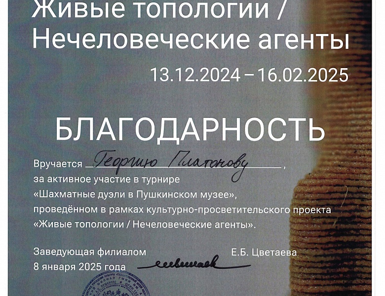 В Новый 2025 год с новыми событиями! Тематический мини-турнир "Шахматные дуэли в Пушкинском музее»