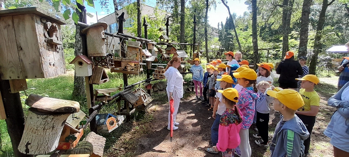 Путешествие на Куршскую косу