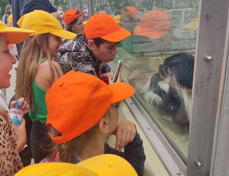 Поход в зоопарк