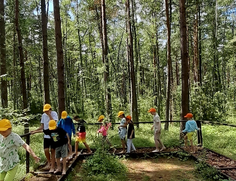 Путешествие на Куршскую косу