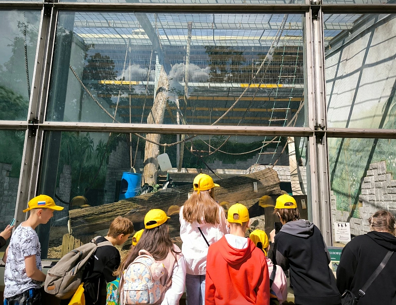 В мире животных