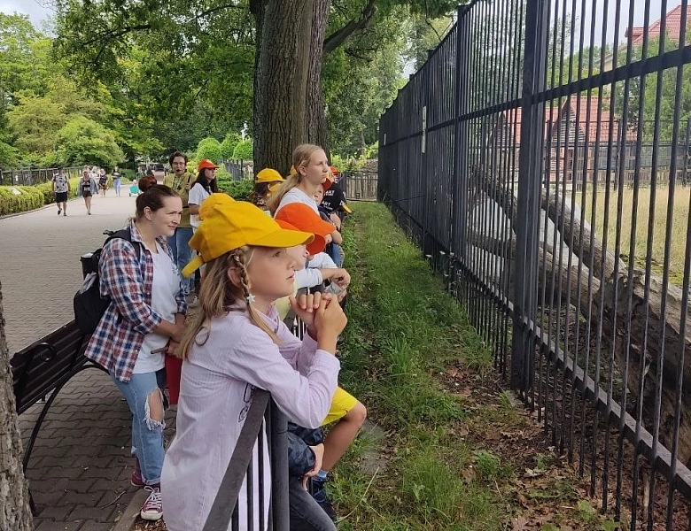 Поход в зоопарк