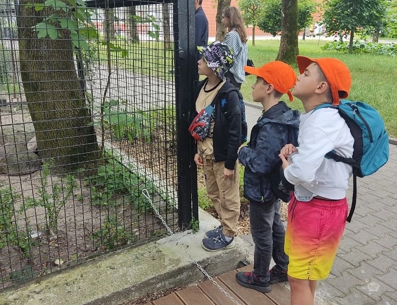 Поход в зоопарк