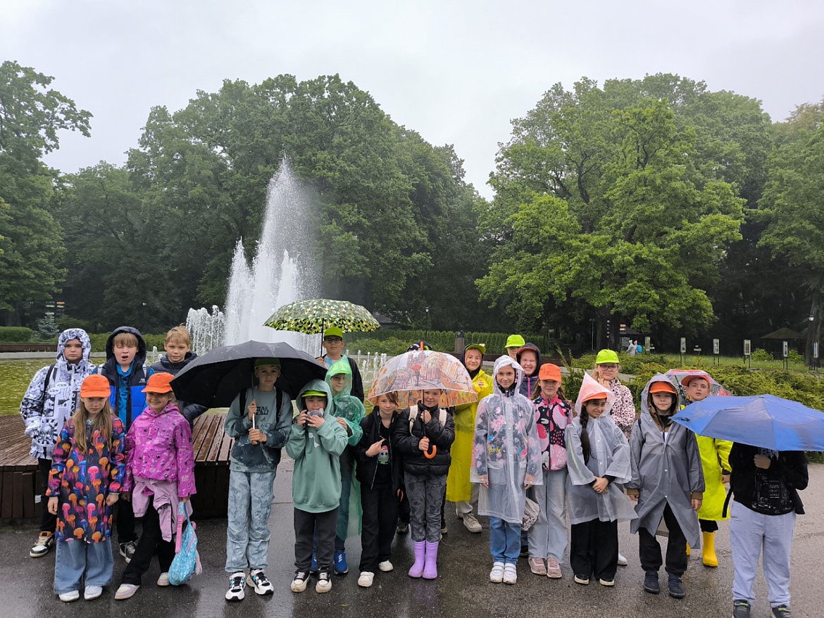 Мир животных. День двадцатый